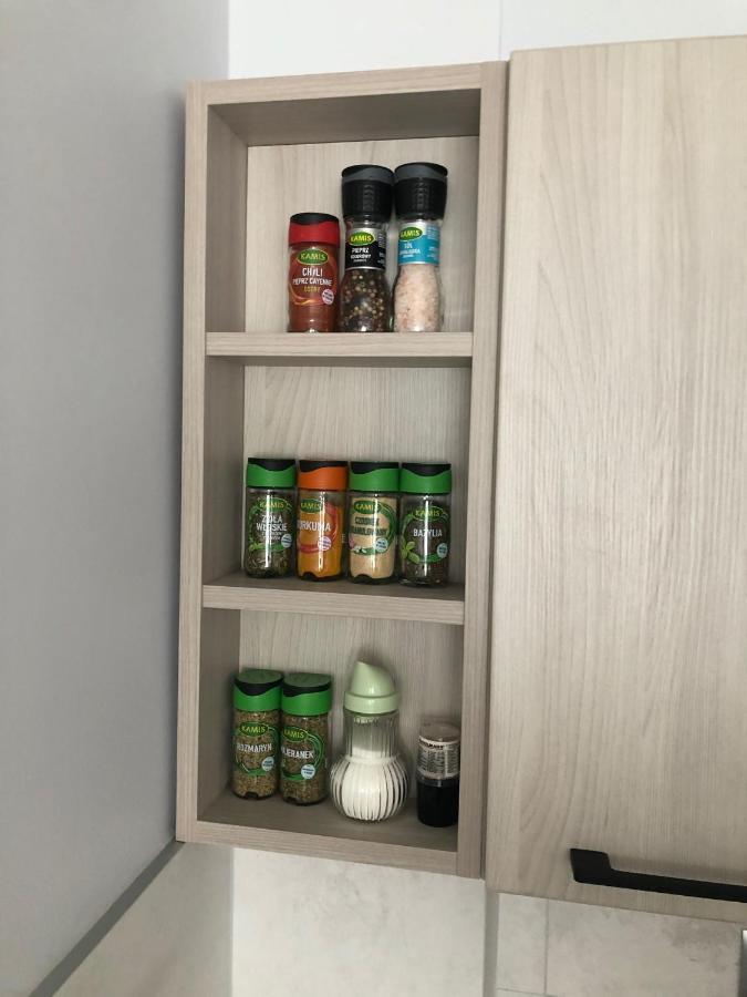 شقة Apartament Na Wierzbowej Parter Kędzierzyn-Koźle المظهر الخارجي الصورة